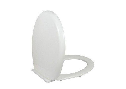 Bbl white oval shape - white,