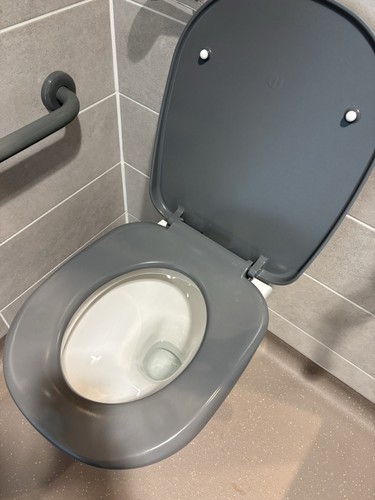 Akw grey oval - grey, toilet