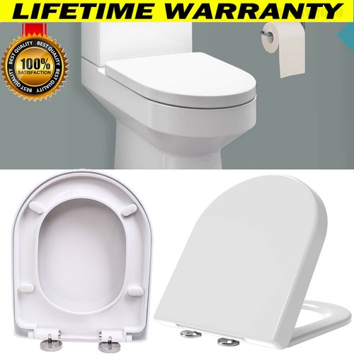 Luxury shape toilet - shape,