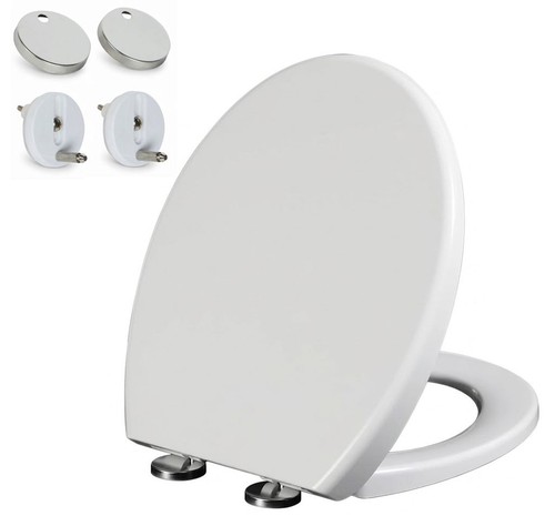 Quick release toilet seat - toilet,